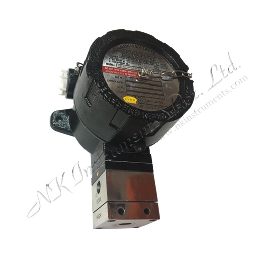 DP Switches - Flameproof